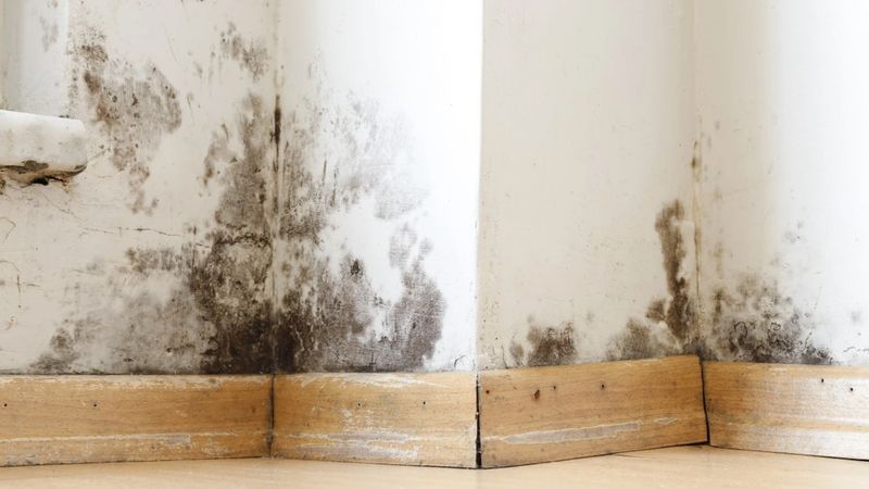 Rutubeti ve kötü havayı ortadan kaldıran 7 yöntem...