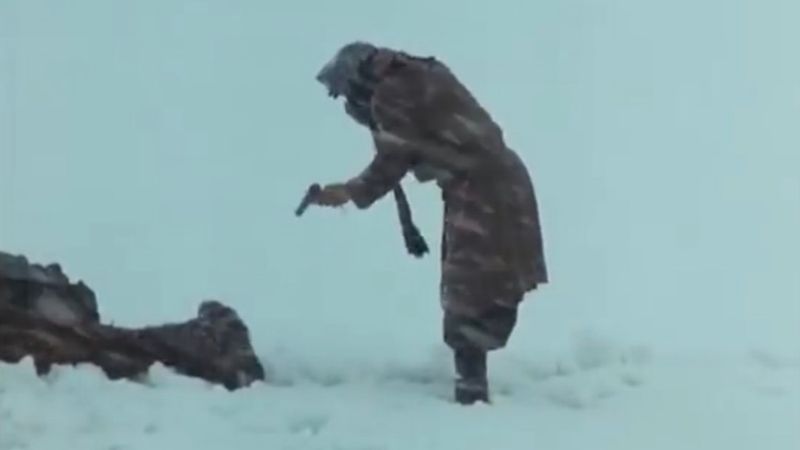 Tarık Akan'ın Yol filmindeki atı vurma sahnesi hafızalarda; yönetmen vur dedi, vurmadım