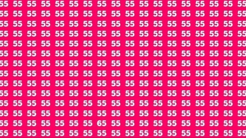 Farklı olanı bul! Sadece IQ'su 130 üzeri olanlar 6 saniyede fark ediyor...