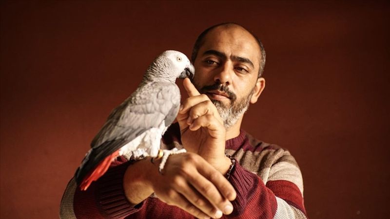 Papağanları için Çanakkale'ye göç etti, üretim çiftliği kurdu