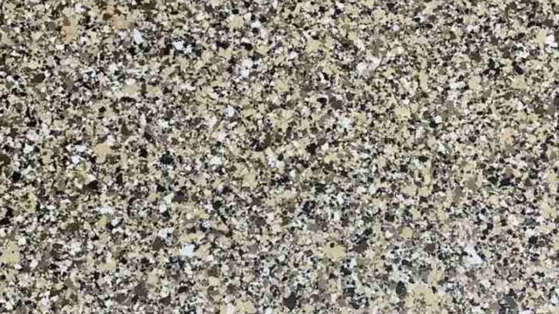 Optik illüzyon ustası aranıyor! Resimdeki gizli zarı bulmak için 5 saniyeniz var…