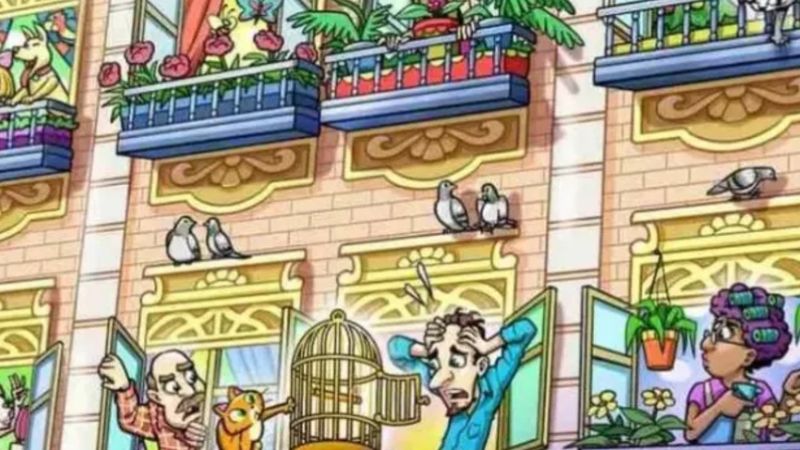 Papağan Nerede? 21 saniye içinde bulan gizli ajan sayılıyor