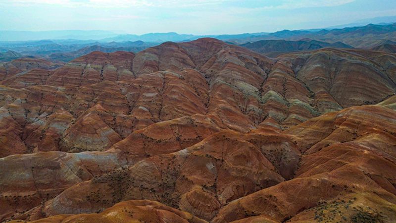 Gören Arizona sanıyor; Türkiye'de olduğunu duyan gaza basıyor...
