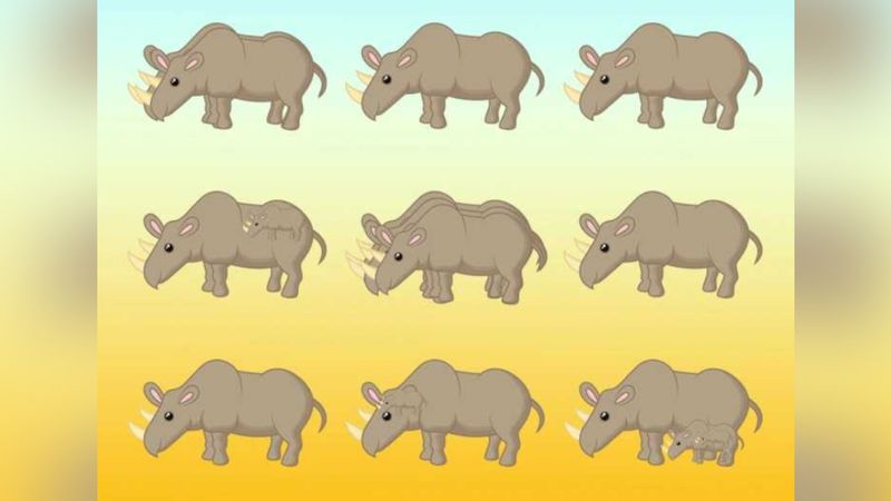 Resimde kaç tane fil var? 9 diyenler yanıldı...