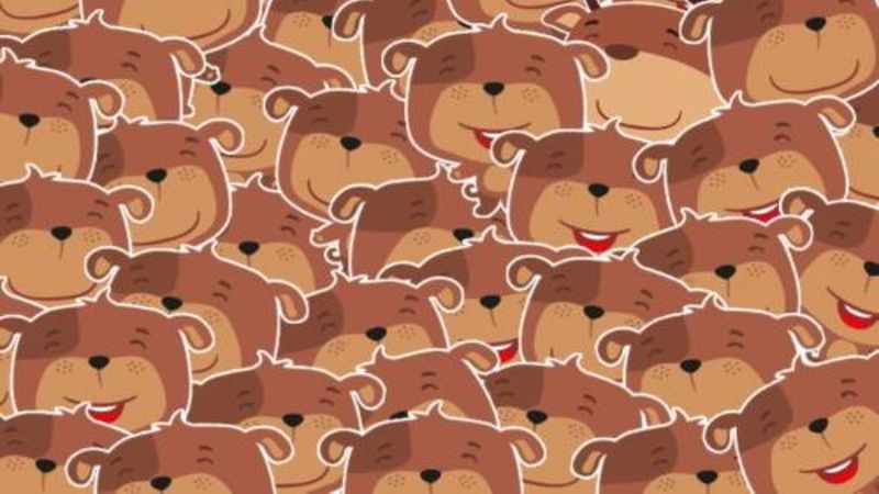 İllüzyona bakın, gizli boynuzları ortaya çıkarın! 7 saniyeniz var...