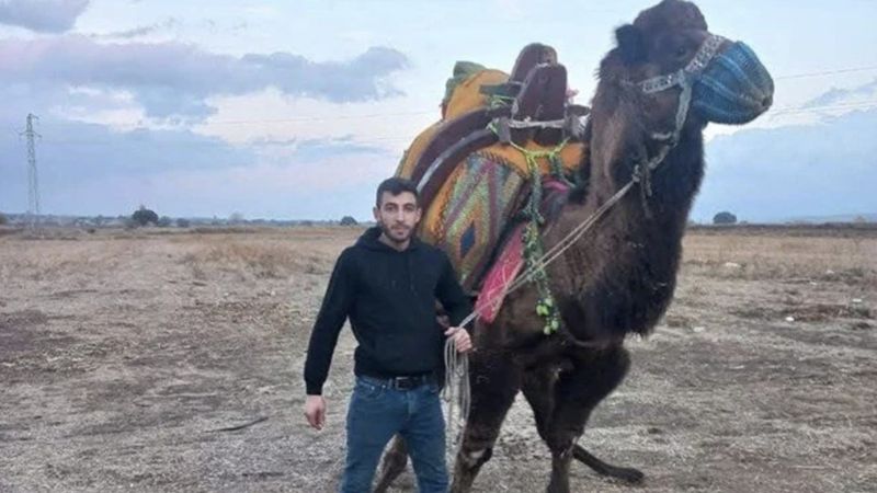 Çanakkale'de deve satışında kan aktı: 1 ölü