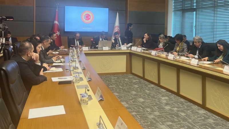 'Bebek Ölümlerini Araştırma Komisyonu' toplandı