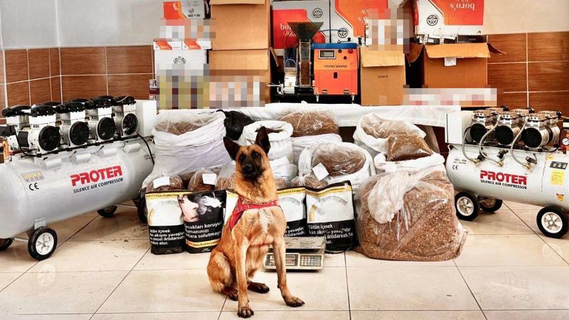 Tokat'ta kaçak tütün ve cep telefonu operasyonunda 3 kişi gözaltına alındı