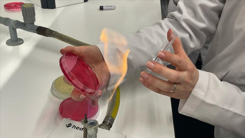 Türk bilim insanları, uçak yakıtında yeni bir bakteri keşfetti