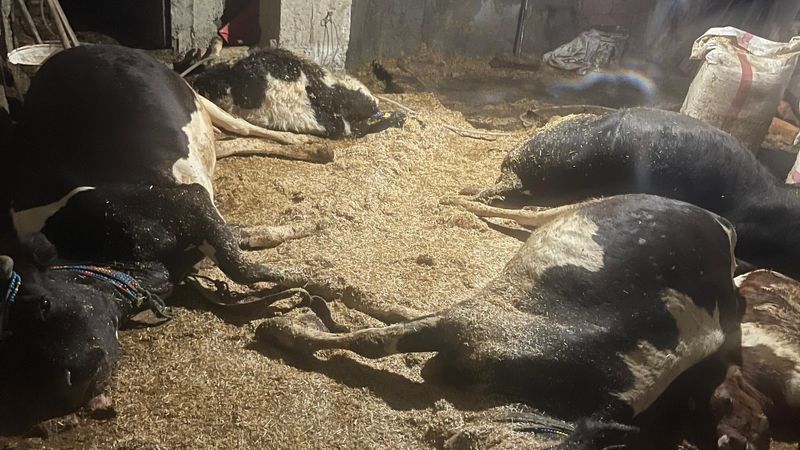 Ordu'da ahırda yangın