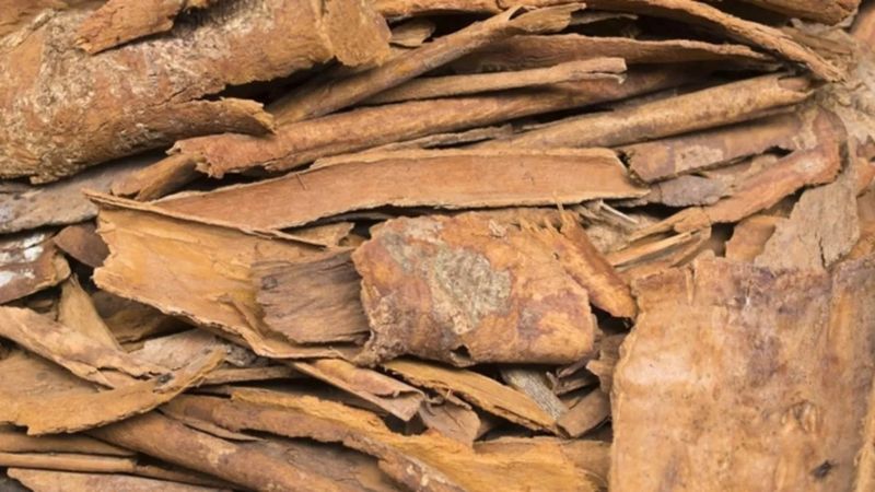 Fazla tüketmeyin, vücutta yağ bırakmıyor...