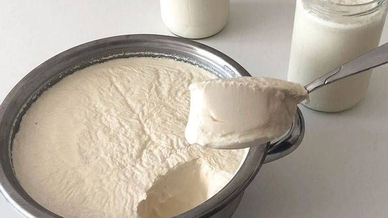 Ekşimeden taş gibi kalan yoğurdun sırrı: Maya yerine bunu kullanın, farkı görün...