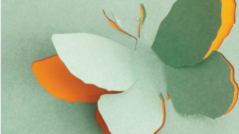 Tutundukça ağırlaşır, bıraktıkça hafiflersin; meraklıları için kişisel gelişim kitabı: Bırak Gitsin