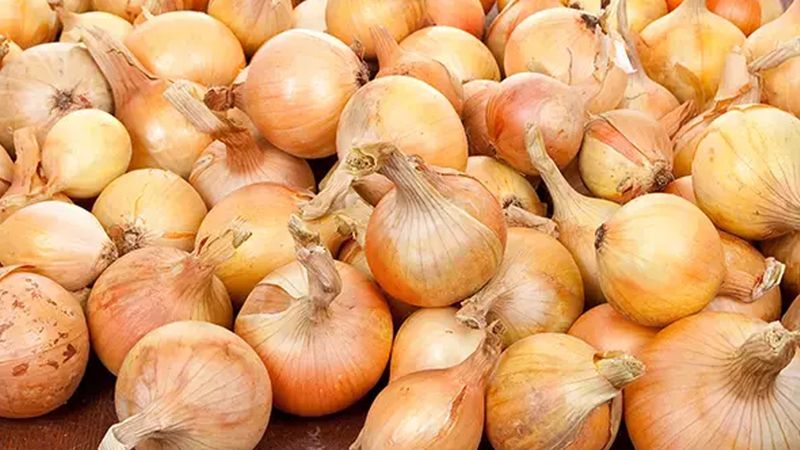 Soğan almadan önce mutlaka kontrol edin! Bu tüyolar en tazesini ortaya çıkarıyor
