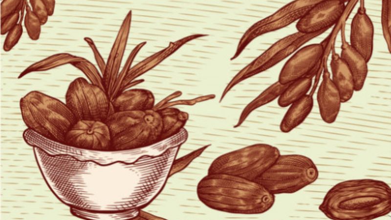 Sağlıklı ve dengeli beslenme ilkelerini günümüzle buluşturan kitap: Hz. Muhammed Gibi Beslenmek