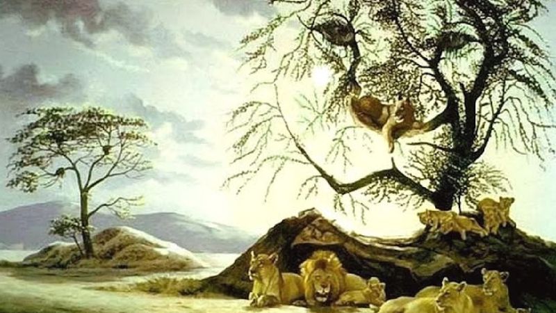 Resimde Kaç Aslan Var? Cevabınız Psikolojik Yaşınızı Ortaya Çıkarıyor!