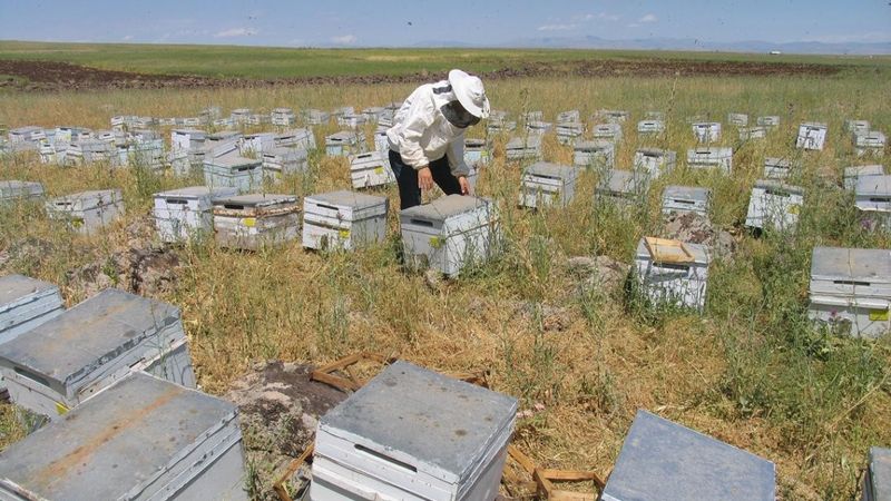 Diyarbakır'da çiftçiye 158 milyon TL hibe