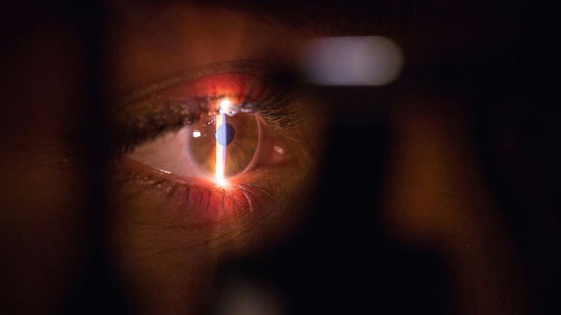 Görme engelliler için yeni umut ışığı: Köpek dişi