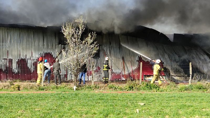 Bursa'da gül serasında yangın çıktı