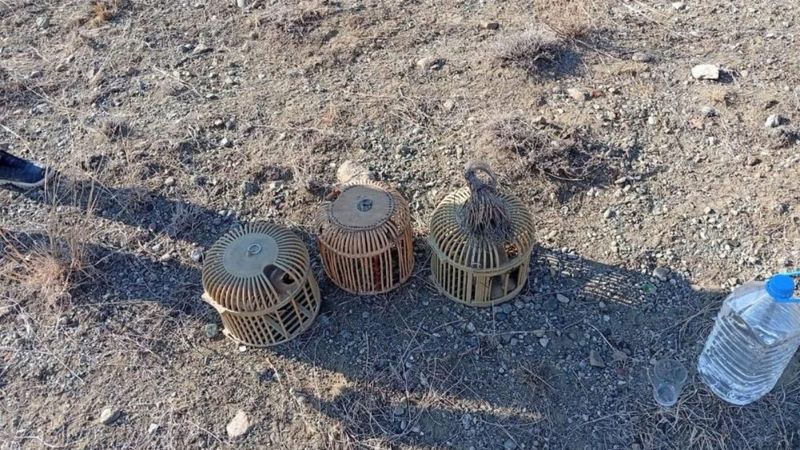 Iğdır'da kaçak keklik avcılarına ceza: 402 bin lira