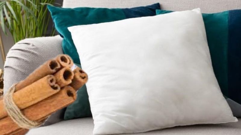 Kırlentlerin içine yerleştirin, misafirler kıskançlıktan çatlayacak