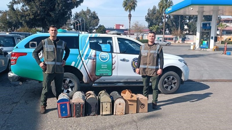Mersin'de bahis için horoz dövüştürdüler