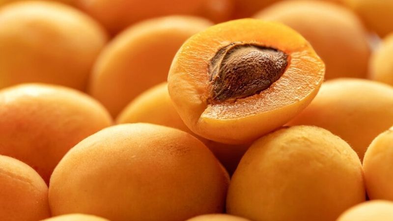 Kayısının faydaları nelerdir? Kayısı ve kuru kayısının hiç bilmediğiniz faydaları...