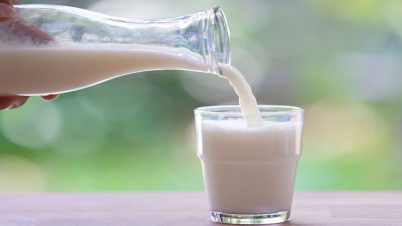 Süt devi iflas bayrağını çekiyor! Mahkeme kararını verdi