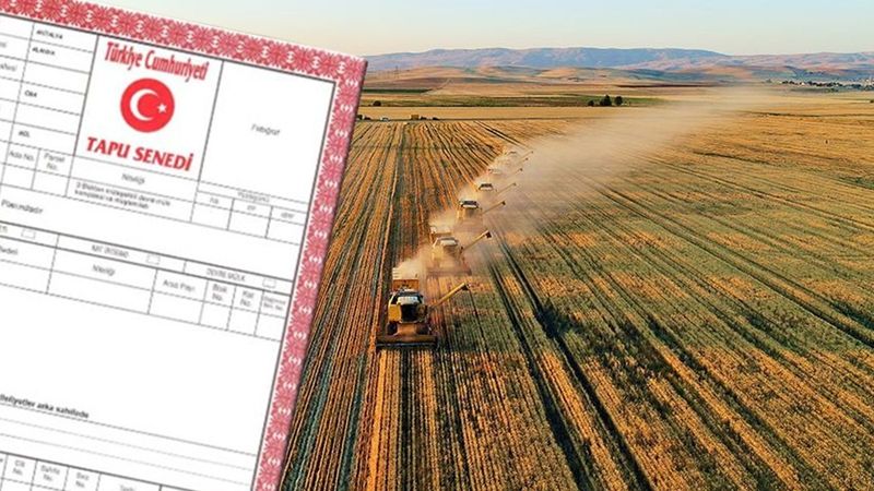 Tapu sahipleri dikkat! 180 gün süre verildi: Başvuru yapmayan hakkını kaybedecek