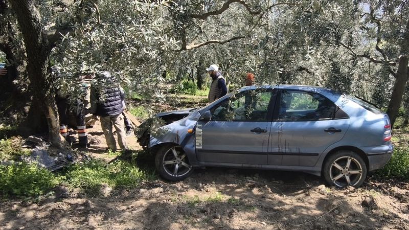 Bursa'da köpeğe çarpmamak için manevra yapan sürücü tarlaya uçtu: 1 yaralı