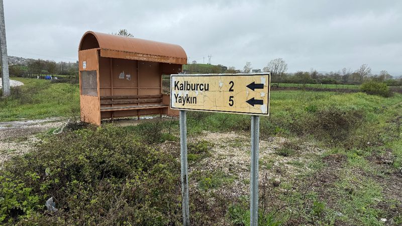 Çanakkale'de şap karantinası