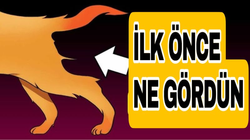 Kişilik İllüzyonu: İlk Gördüğünüz Şey Huylarınızı Söylüyor...