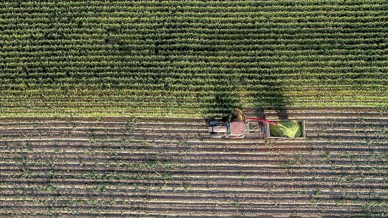 Çiftçilere 5,5 milyar lira destek ödemesi yapıldı