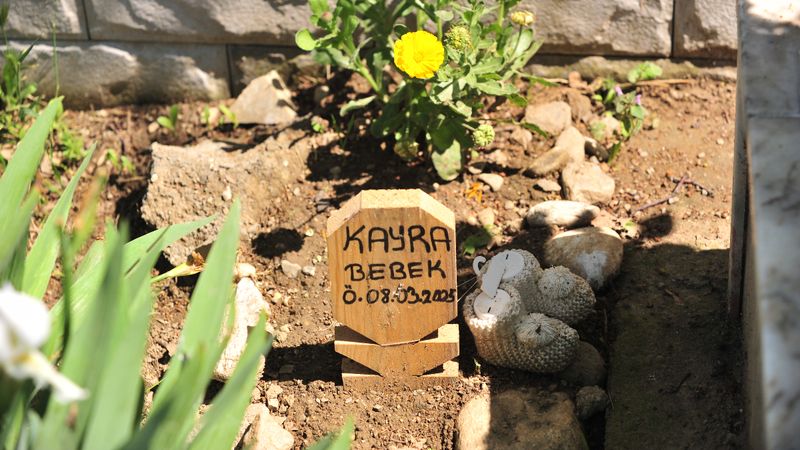 Bursa'da kürtajla alınan cenin için ‘kaçak defin’ soruşturması başlatıldı