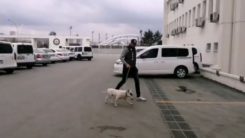 Ankara'da cins köpek hırsızına tutuklama