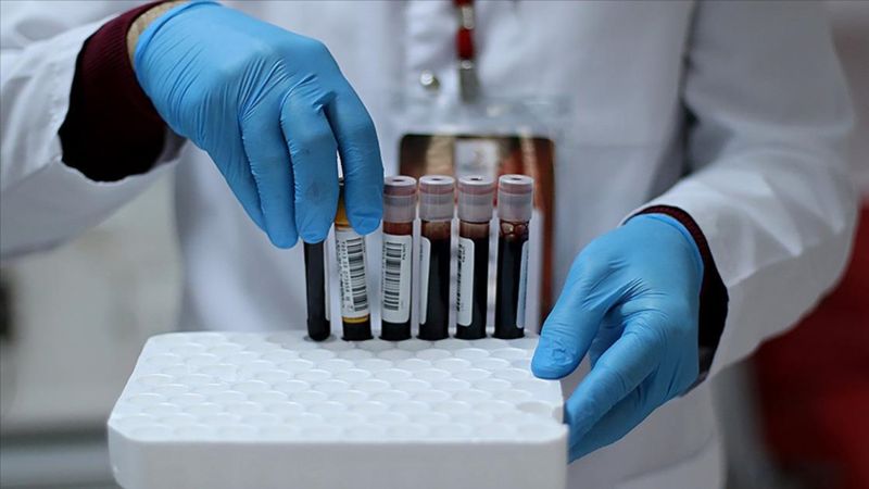 Evlilikte riskli kan grupları belirlendi! Bu kişiler asla uyuşmuyor...