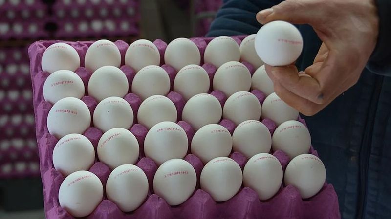 Yumurta fiyatları Nisan 2025: 30’lu yumurta ne kadar oldu?