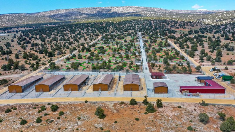 Konya'da Meram Belediyesi'nden sahipsiz köpek sorununa çözüm