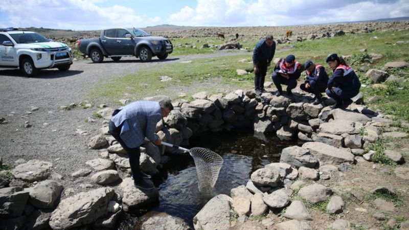 Diyarbakır, Mardin ve Şanlıurfa'nın kesişimindaki 'doğal akvaryum' turizme açılıyor