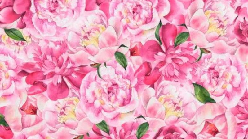 Dikkat ölçme testi: Çiçeklere bakın, kelebeği yakalayın! 7 saniye başladı...