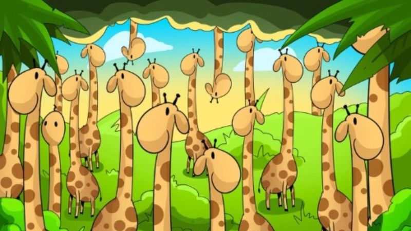 Dikkat dikkat: İllüzyondaki yılanı Sherlock Holmes bile bulamadı...