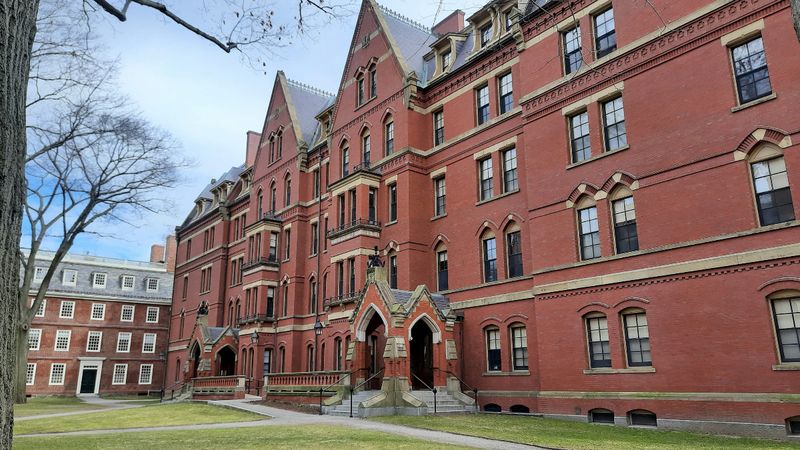 Harvard Üniversitesi'nden Trump yönetimine dava