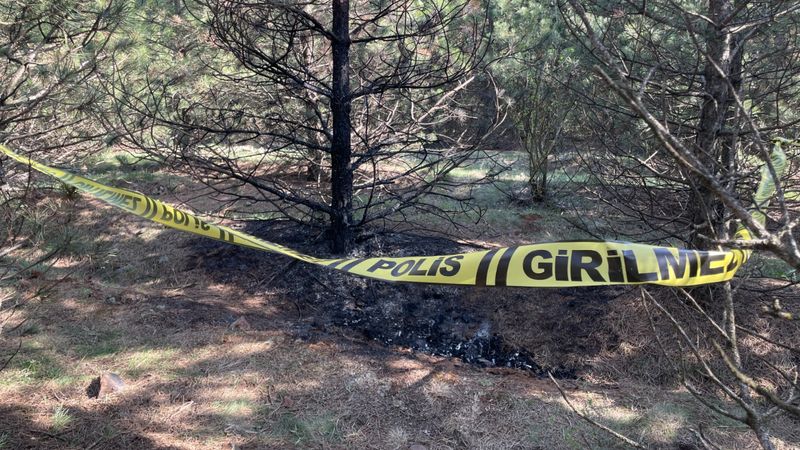 Eskişehir'de kaybolan genç kadın ormanda yakılarak öldürüldü