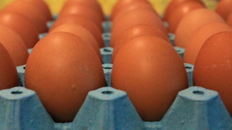 Yumurta fiyatları düşüşe geçti