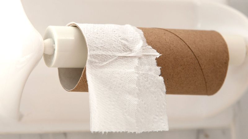 Biten tuvalet kağıdı ruloları bakın ne işe yarıyor...