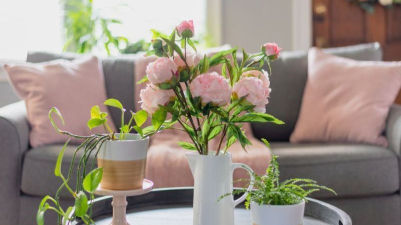 Feng Shui’ye göre evinize şans ve bolluk getireceğine inanılan 10 bitki...