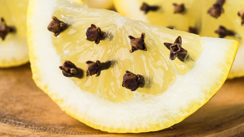 Limona karanfil batırın, faydasına 1 gecede şaşırın...