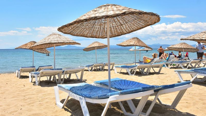 Bu plajda deniz kabuğu toplamak yasaklandı! Toplayana 50 bin TL ceza kesiliyor