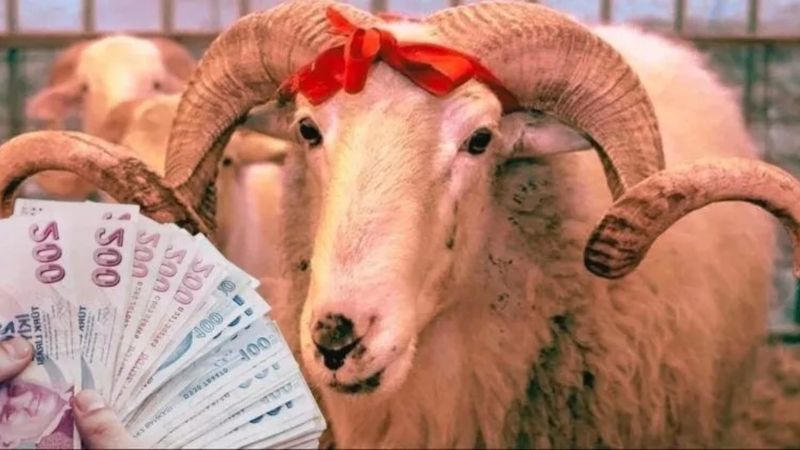 Kurban ikramiyesi yandı: Bu kişiler alamayacak...
