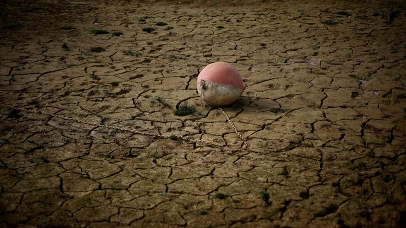 İklim krizi tehlikesi sürüyor: Felaketlere karşı en savunmasız şehirler